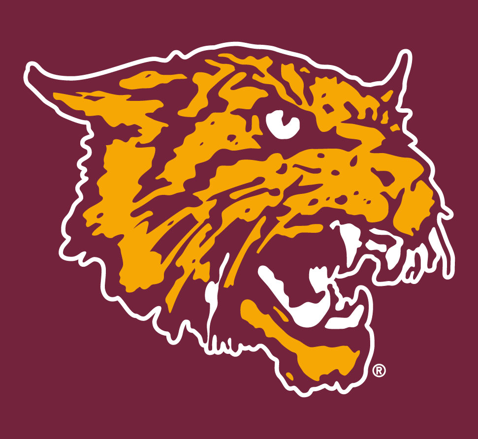 Bethune-Cookman Wildcats 2000-2015 Alternate Logo iron on transfers for clothing
